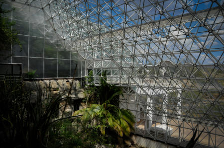 36 Pearce Structures' Nodeless Node architecture in the Marine Mesocosm, commonly known as the Ocean Biome. 